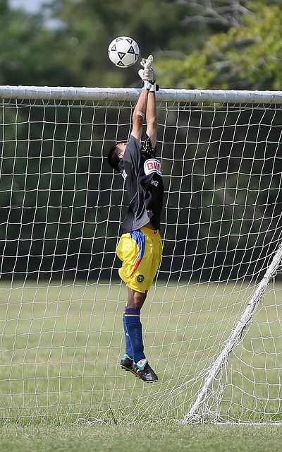 將大幅增加 將大幅增加