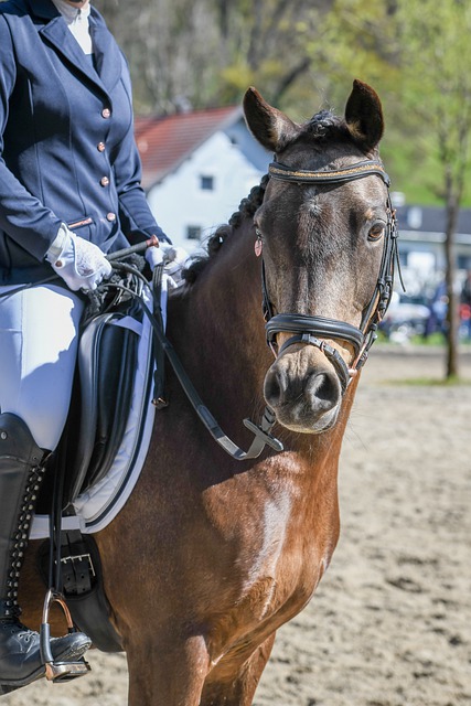伸到虚拟世 伸到虚拟世