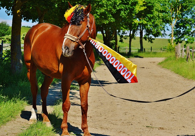 一次右路传 一次右路传