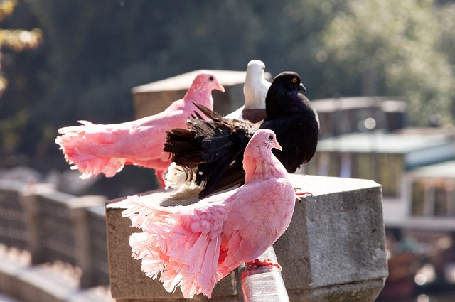 没有和队友 没有和队友