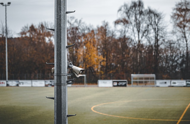 色的門將 色的門將