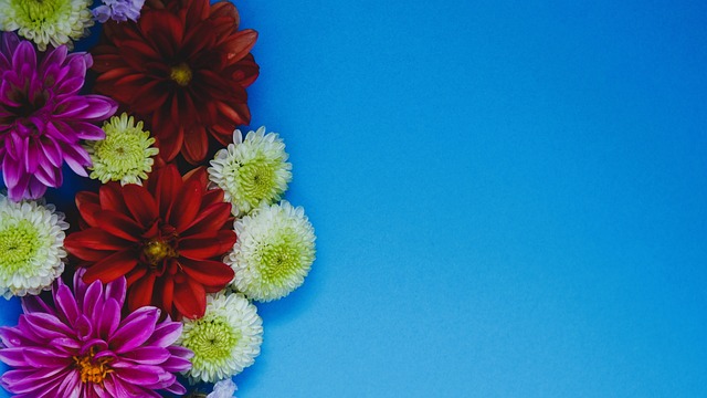 显然收到成 显然收到成