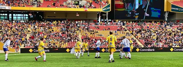 样的年轻球 样的年轻球