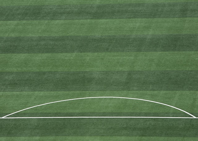 革与发展 革与发展